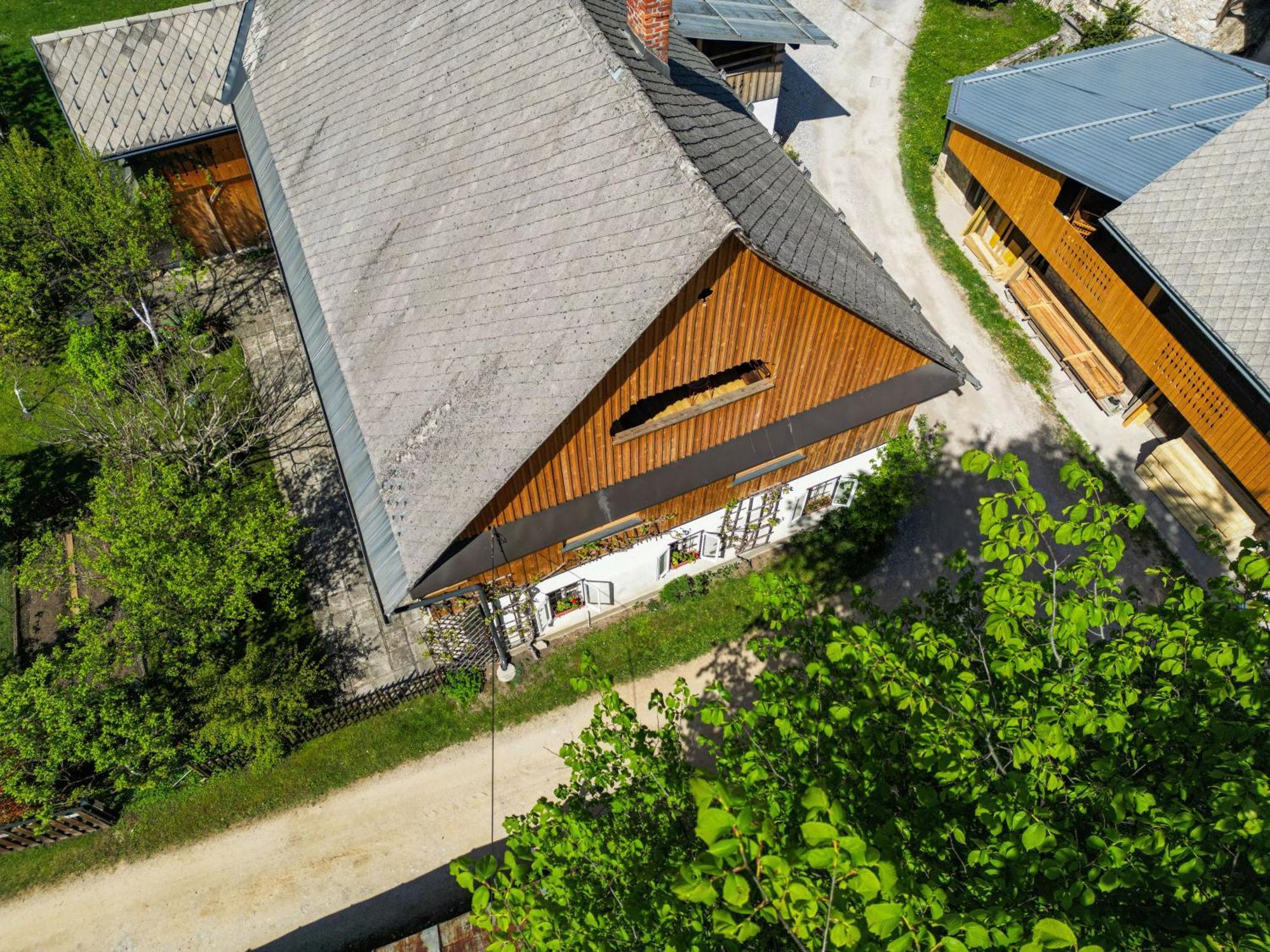 House, Garden&a Green Cat Bled Buitenkant foto