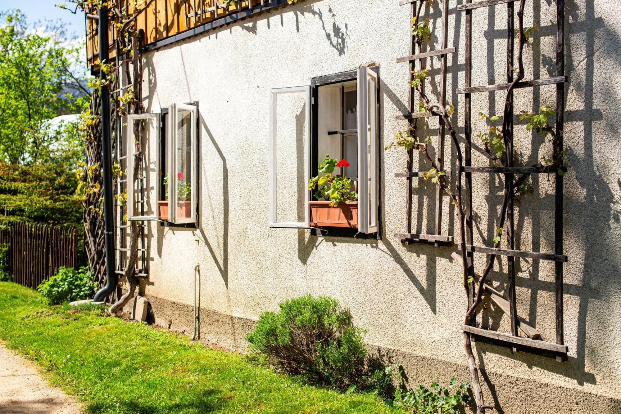 House, Garden&a Green Cat Bled Buitenkant foto