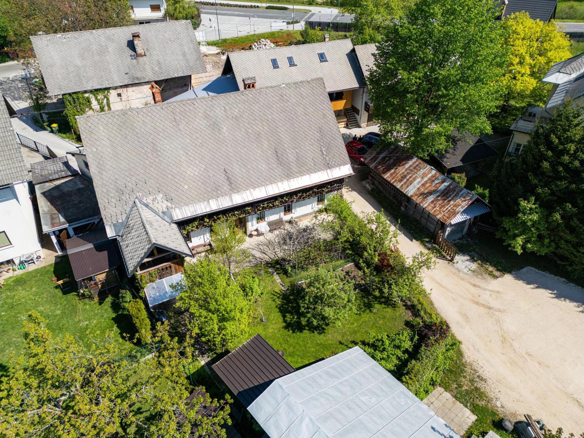 House, Garden&a Green Cat Bled Buitenkant foto