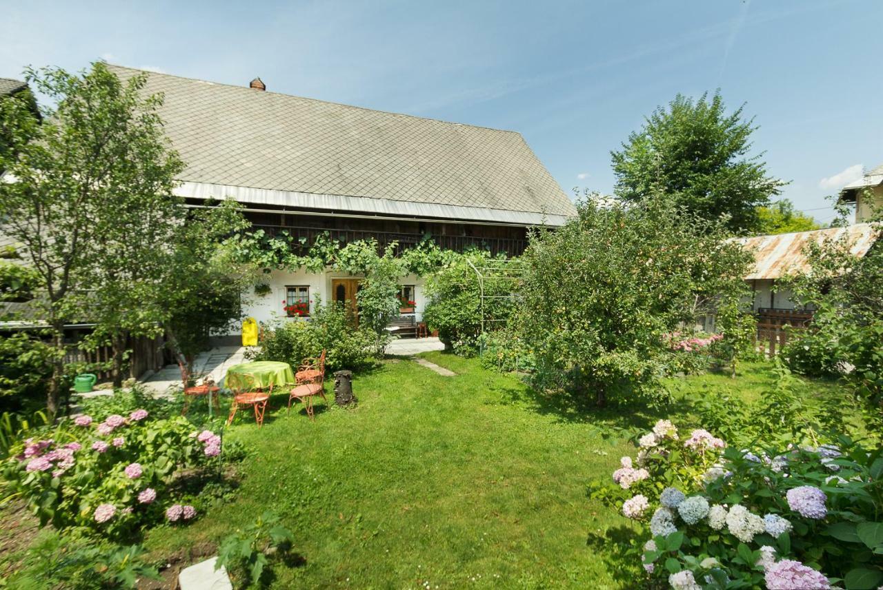 House, Garden&a Green Cat Bled Buitenkant foto